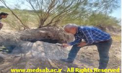 شهید رئیسی ، شبکه بهداشت و درمان خوشاب ، دکتر علی شاهی ، سید ابوالفضل حسینی ، علوم پزشکی سبزوار ، خوشاب ، سالک شهید رئیسی ، شبکه بهداشت و درمان خوشاب ، دکتر علی شاهی ، سید ابوالفضل حسینی ، علوم پزشکی سبزوار ، خوشاب ، سالک